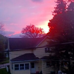 Meet your Posher, Karli